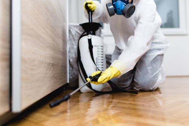 Best Best Pest Control Companies  in Brownsville, TX