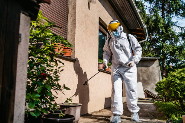 Pest Prevention Services in Brownsville, TX