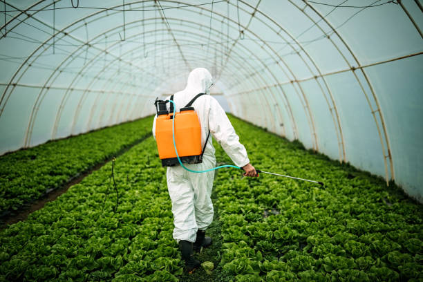 Best Residential Pest Control  in Brownsville, TX