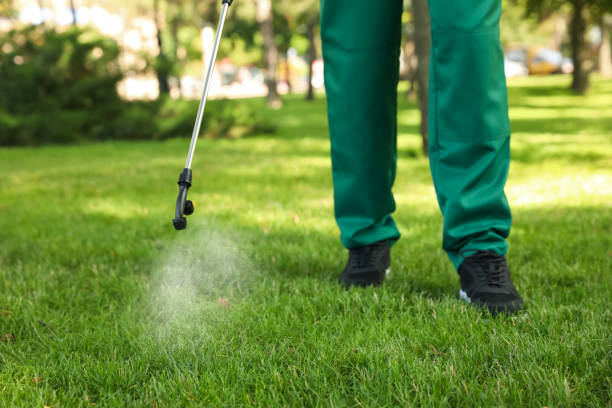 Bird Control in Brownsville, TX