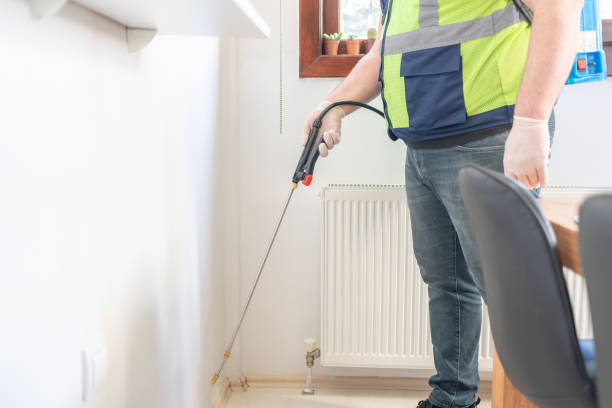 Best Pest Removal Services  in Brownsville, TX
