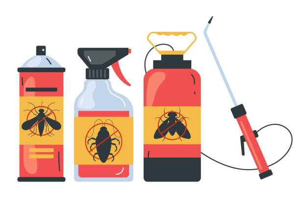 Best Local Pest Control Services  in Brownsville, TX