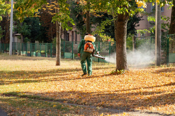 Pest Control for Restaurants in Brownsville, TX